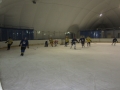 sokol_10
