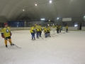 sokol_14