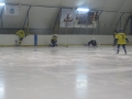 vs_vyshgorod-2_1