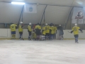 vs_vyshgorod-2_2